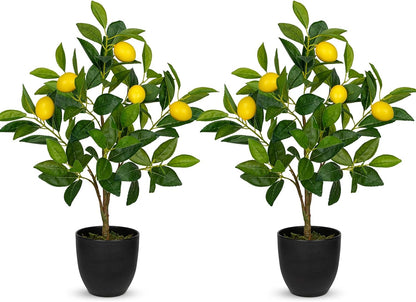 2Ft Artificial Peach Trees, 2 Packs Large Artificial Plants Indoor with Black Pots Faux Potted Trees Fake Floor Plants Peach Decorations for Home Living Room Office, Bedroom Table, Desk