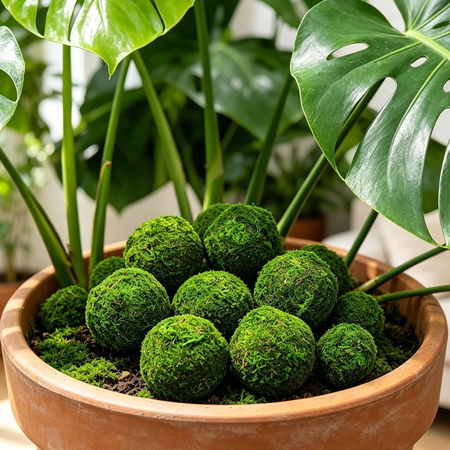 4" Decorative Round Moss Balls (Set of 6) Fake Moss Ball for Bowl Fillers | Handmade Large Green Moss Balls for Home Decor, Aquarium, Centerpiece Bowls, Parties, DIY Crafts, and Wedding Displays