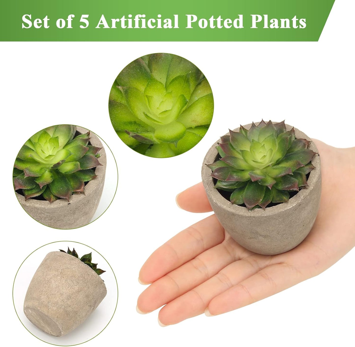 Artificial Succulent Plants Potted, Assorted Decorative Faux Succulent Potted Fake Cactus Cacti Plants with Pots, Set of 5 | Assorted Decorative Faux Succulent Potted, Fake Cactus Cacti Plants with Pots, Green
