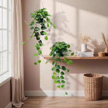 Fake English Ivy Artificial Plants - 33" Set of 2 Realistic Artificial Silk Ivy Vines with Pots, Faux Plants Indoor Home Decor, Low Maintenance Hanging Plant Decoration