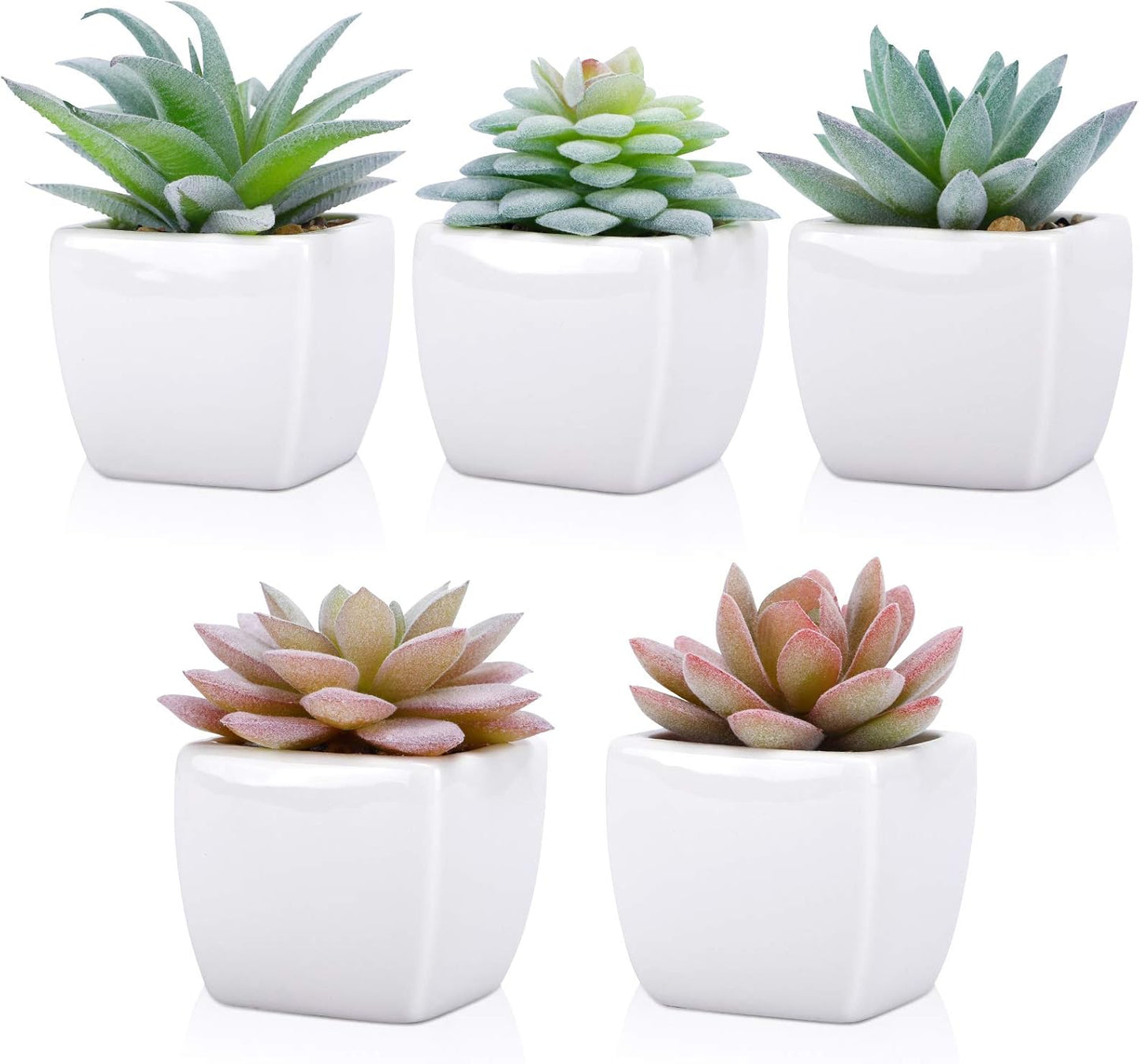5pcs Artificial Succulent Plants, Small Fake Desk Plants Mini Succulents Indoor for Shelf Living Room Bedroom Windowsills Office Home Decoration (Include White Ceramic Pots)