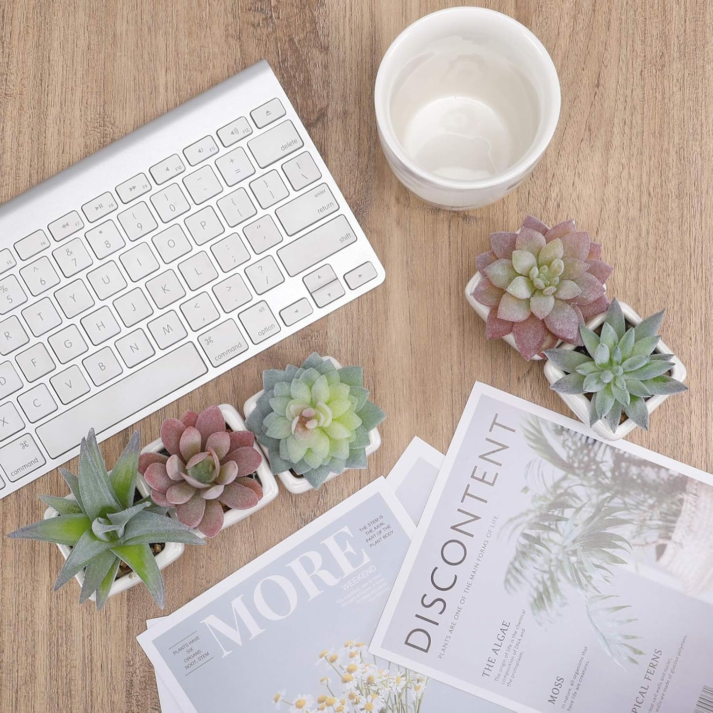 5pcs Artificial Succulent Plants, Small Fake Desk Plants Mini Succulents Indoor for Shelf Living Room Bedroom Windowsills Office Home Decoration (Include White Ceramic Pots)