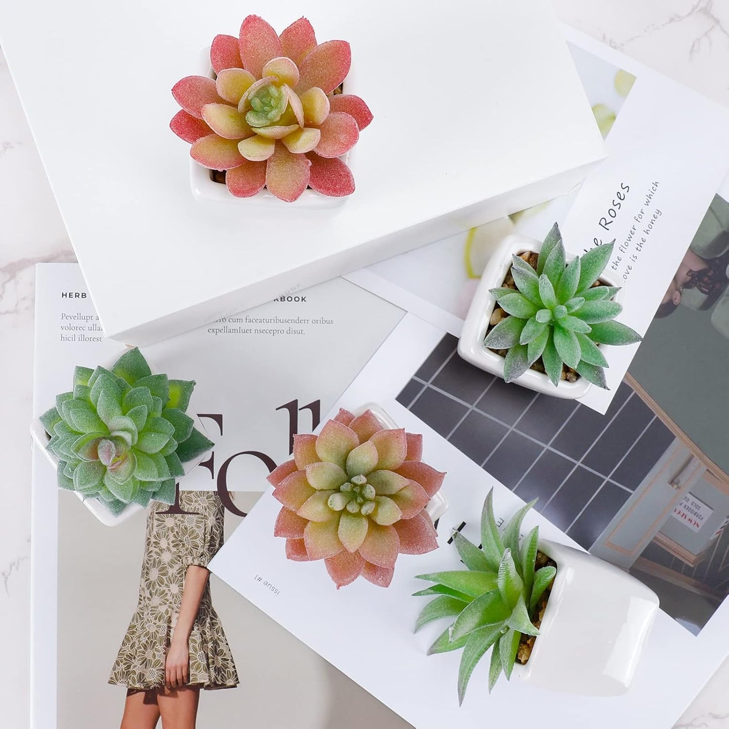 5pcs Artificial Succulent Plants, Small Fake Desk Plants Mini Succulents Indoor for Shelf Living Room Bedroom Windowsills Office Home Decoration (Include White Ceramic Pots)