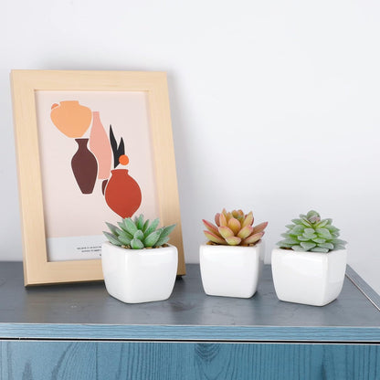 5pcs Artificial Succulent Plants, Small Fake Desk Plants Mini Succulents Indoor for Shelf Living Room Bedroom Windowsills Office Home Decoration (Include White Ceramic Pots)