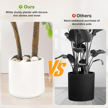 5FT Artificial Ficus Tree with White Planter and Pebbles,Faux Silk Tree with Lifelike Leaves and Realistic Trunk,Tall Fake Potted Plant for Home and Office Décor Indoor and Outdoor (5FT)