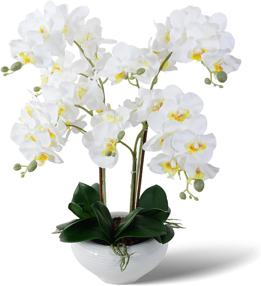 Artificial Orchid Flowers & Plants Potted in Ceramic Pot, White Faux Phalaenopsis Orchids for Table Centerpiece, Realistic Fake Flower Arrangement for Home Office Decor Indoor