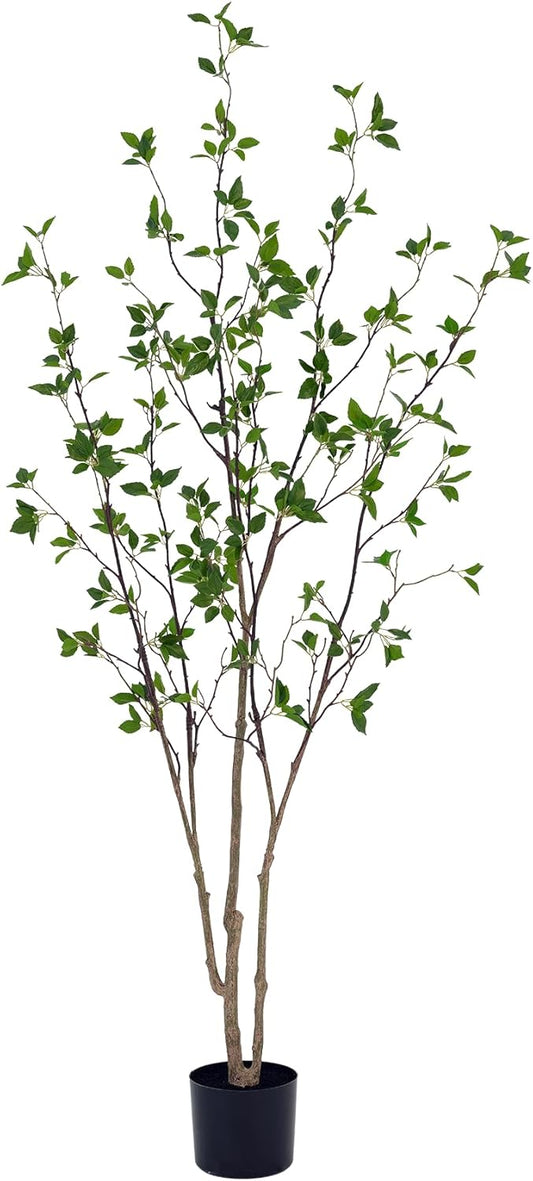 6ft Faux Citrus Tree, Artificial Minimalist Citrus Tree with Lifelike Leaves,Fake Plant Indoor for Home Office Living Room Bedroom Porch Floor Decor