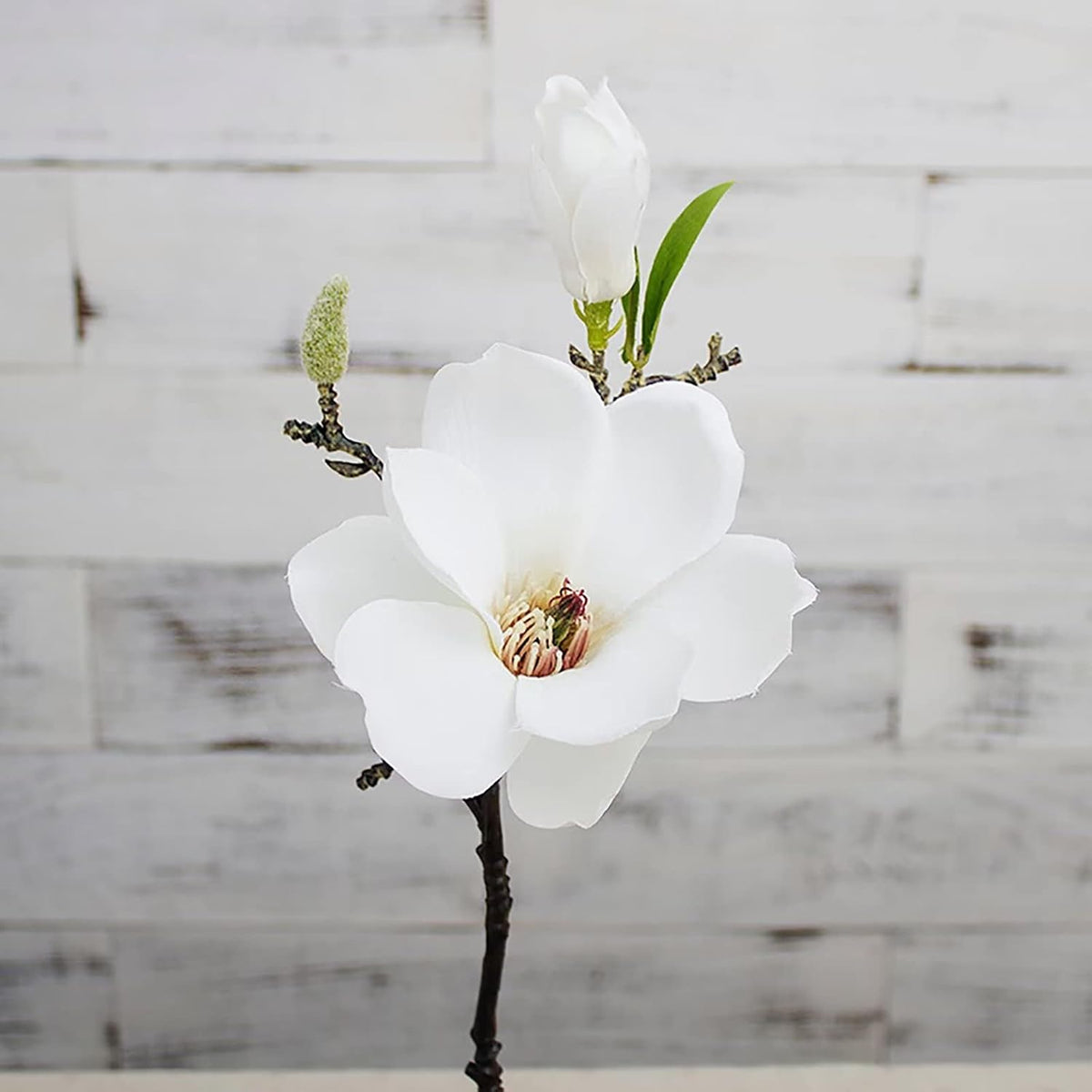 5 Pack Artificial Magnolia Flowers Realistic Silk Magnolia with Green Leaves Real Touch Magnolia Bouquet for Wedding Home Office Table Centerpiece Decor
