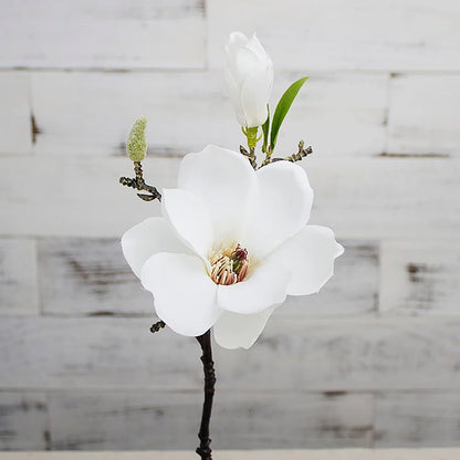 5 Pack Artificial Magnolia Flowers Realistic Silk Magnolia with Green Leaves Real Touch Magnolia Bouquet for Wedding Home Office Table Centerpiece Decor