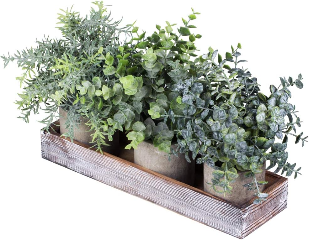 Set of 3 Mini Potted Artificial Eucalyptus Plants Faux Rosemary Plant Assortment with Wood Planter Box for Indoor Office Desk Apartment Wedding Tabletop Greenery Decorations 8.7" Tall