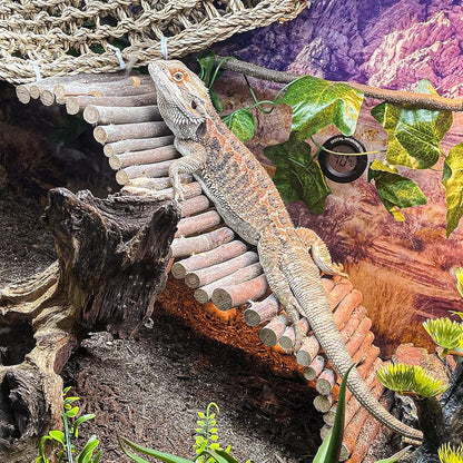 Bearded Dragon Tank Accessories, Reptile Mat Bridge Hammock Flexible - Jungle Climbing Vines and Leaves with Suction Cups Habitat Décor for Hiding& Climbing Snake Gecko Lizard Chameleon