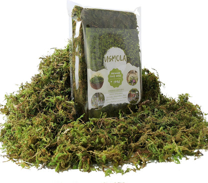 Fake Green Moss for Potted Plants, 4OZ Artificial Moss for DIY Crafts, Faux Moss for Table Centerpieces Fairy Garden Decor (Fresh Green 140gr)