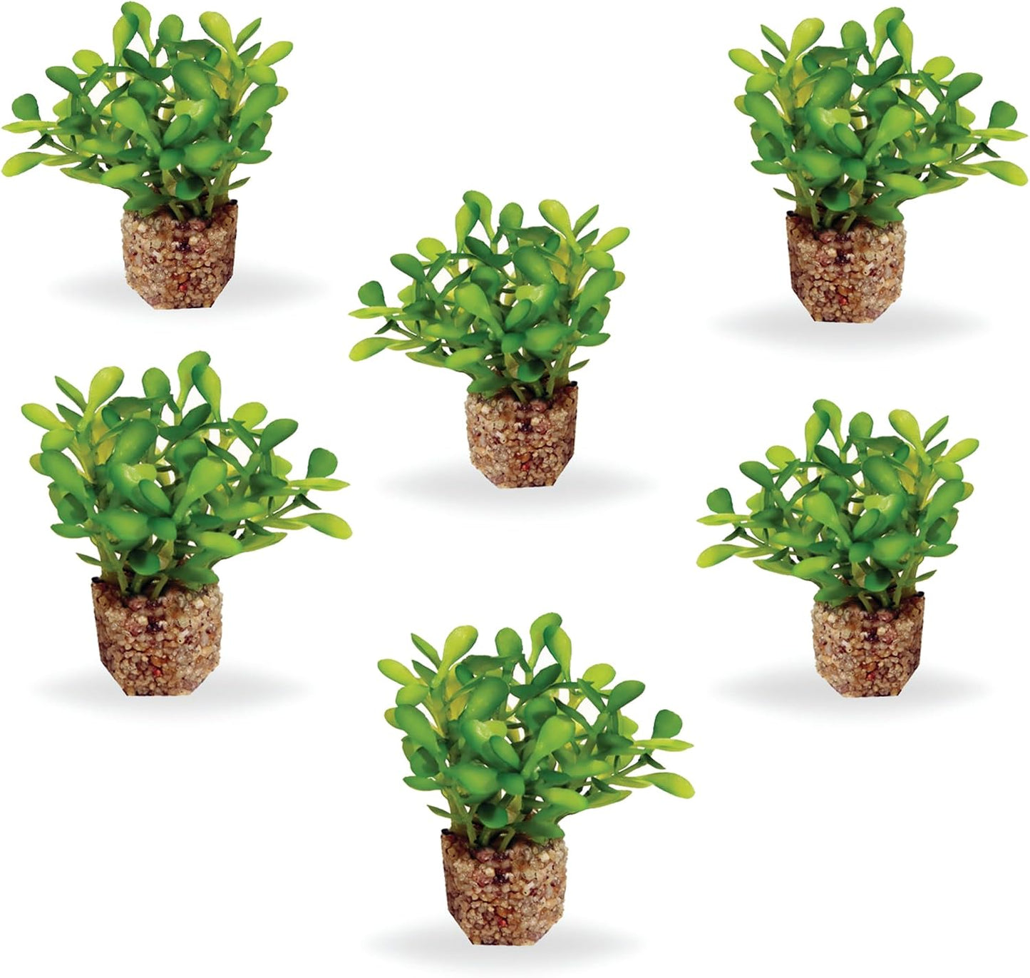 Aquascape Collection Artificial Aquarium Decor – Ultra Realistic Plants and Lifelike Foliage for Aquariums and Terrariums (1, Dark Green Fountain Grass)