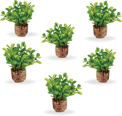 Aquascape Collection Artificial Aquarium Decor – Ultra Realistic Plants and Lifelike Foliage for Aquariums and Terrariums (1, Dark Green Fountain Grass)