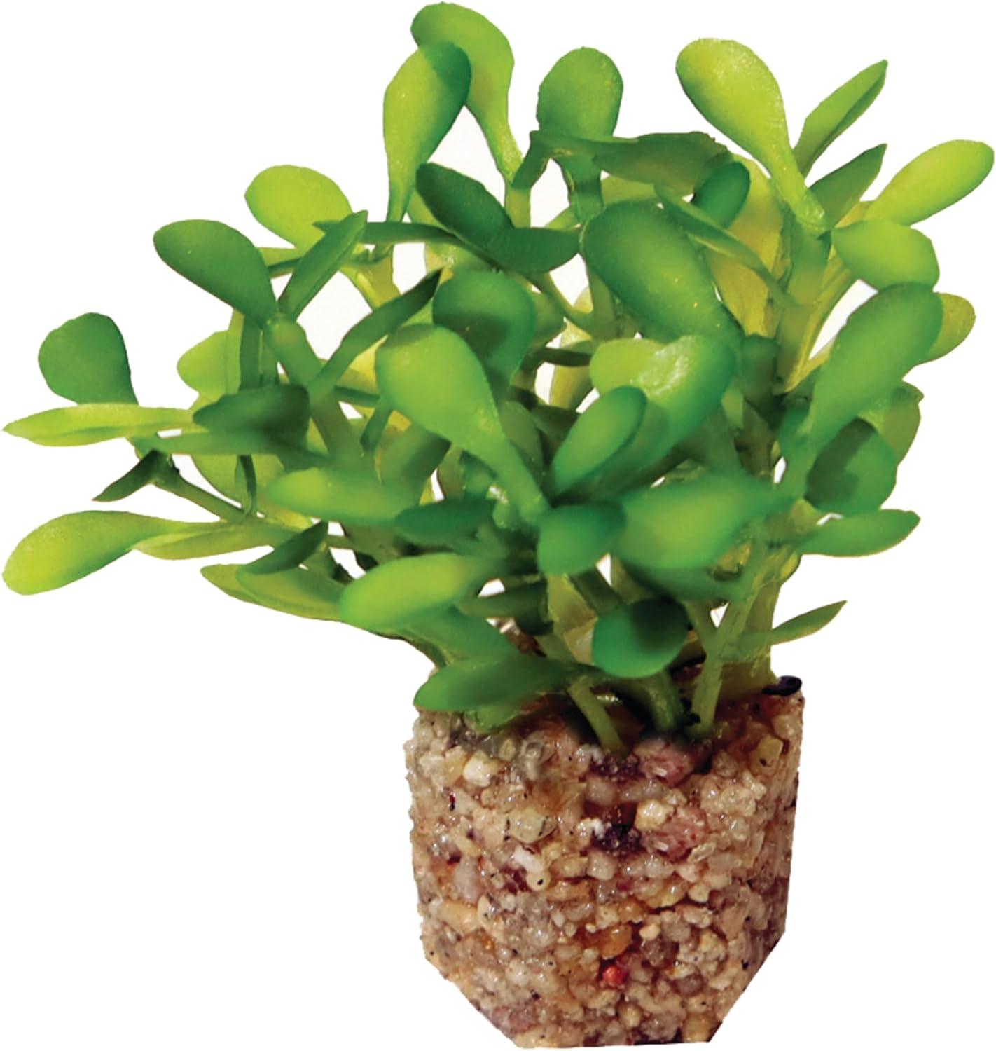 Aquascape Collection Artificial Aquarium Decor – Ultra Realistic Plants and Lifelike Foliage for Aquariums and Terrariums (1, Dark Green Fountain Grass)