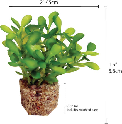 Aquascape Collection Artificial Aquarium Decor – Ultra Realistic Plants and Lifelike Foliage for Aquariums and Terrariums (1, Dark Green Fountain Grass)