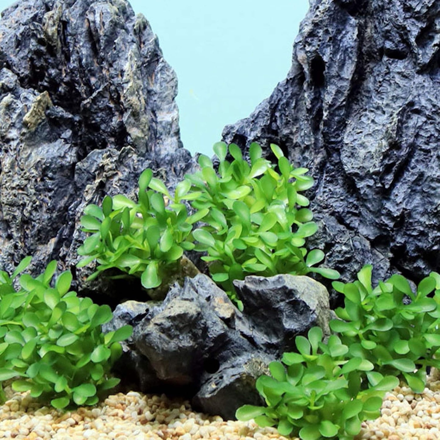 Aquascape Collection Artificial Aquarium Decor – Ultra Realistic Plants and Lifelike Foliage for Aquariums and Terrariums (1, Dark Green Fountain Grass)