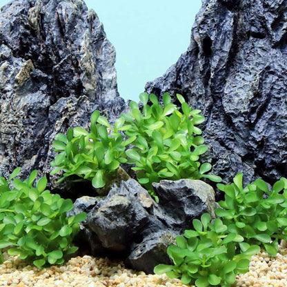 Aquascape Collection Artificial Aquarium Decor – Ultra Realistic Plants and Lifelike Foliage for Aquariums and Terrariums (1, Dark Green Fountain Grass)