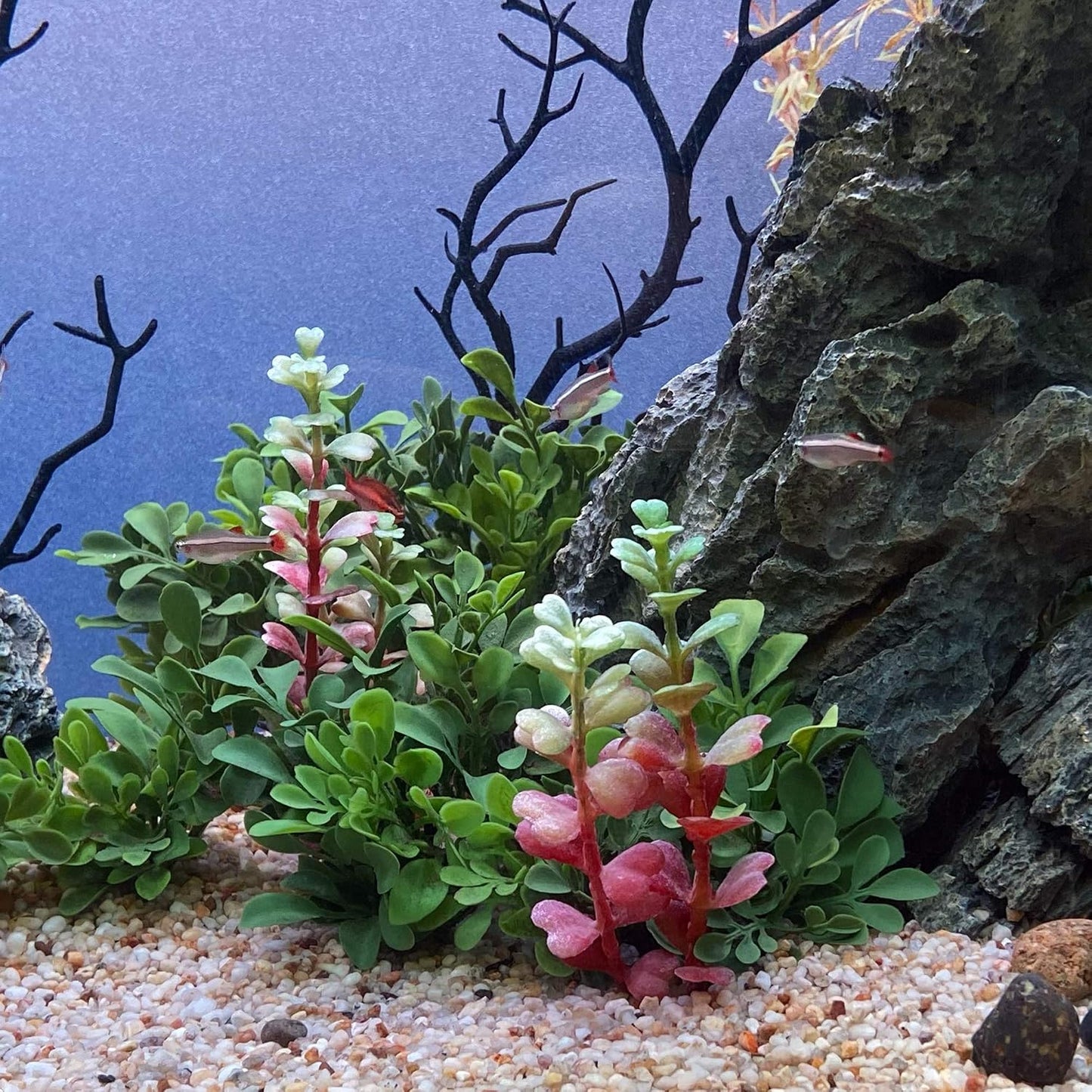 Aquascape Collection Artificial Aquarium Decor – Ultra Realistic Plants and Lifelike Foliage for Aquariums and Terrariums (1, Dark Green Fountain Grass)