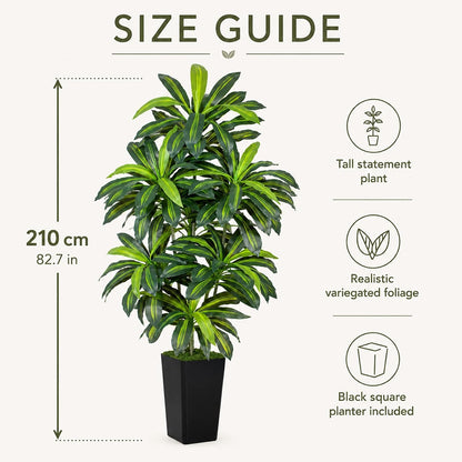 5FT Artificial Dracaena Tree - High-Density Foliage Fake Plant with White Tall Planter - Faux Yucca Floor Plant for Home Office Decor Indoor