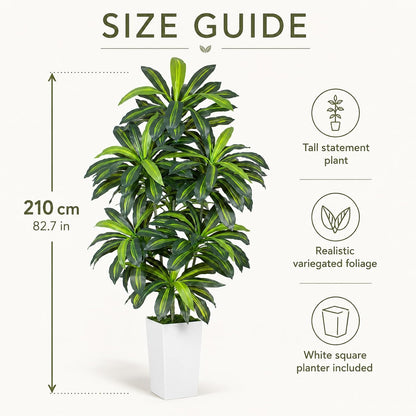 5FT Artificial Dracaena Tree - High-Density Foliage Fake Plant with White Tall Planter - Faux Yucca Floor Plant for Home Office Decor Indoor