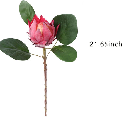 3Pcs Artificial King Protea Flowers Hot Pink Protea Cynaoides Flowers Real Touch Faux Protea Flowers Bouquet Flower Arrangements for Home Garden Wedding Party Decoration