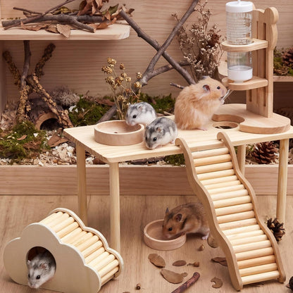 5 Pcs Hamster Cage Accessories, Wood Hamster Play Wooden Platform Water Bottle with Stand Climbing Set for Rat Mice Small Animals Pets Habitats Woodland Decor(Cloud Villa)