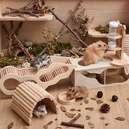 5 Pcs Hamster Cage Accessories, Wood Hamster Play Wooden Platform Water Bottle with Stand Climbing Set for Rat Mice Small Animals Pets Habitats Woodland Decor(Cloud Villa)