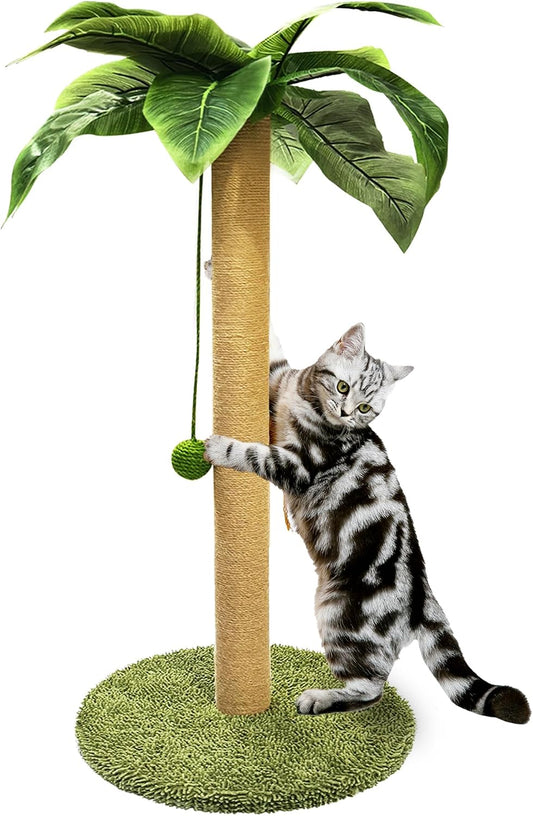 Cat Scratching Post, 36" Tall Palm Tree Cat Scratching Post, Sisal Cat Scratcher with Toy Ball for Indoor Kittens, Large Size