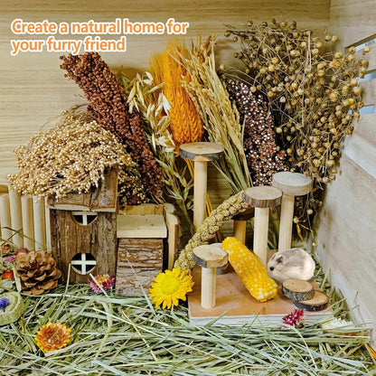 Natural Hamster Flower & Herb Habitat Deocr, Hamster Sprays Herbs Bedding Mate, Hamsters Cage Enrichment Decoration Accessories for Gerbil Dwarf Syrian Hamsters Mouse Guinea Pig Mice or Small Animals