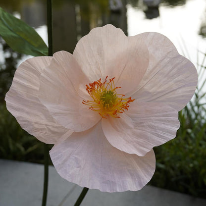 Large Paper Artificial Flowers, for Decoration,Huge Handcrafted Poppy Fake Flowers with Stand for Home Decor Bridal Shower Party Outdoors Yard Event Backdrop Decor (Champagne)