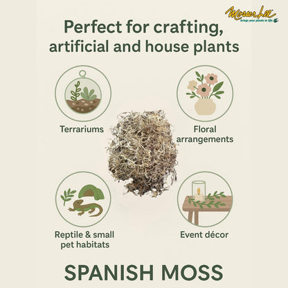 ML0560 Spanish Moss, 250 Cubic Inches