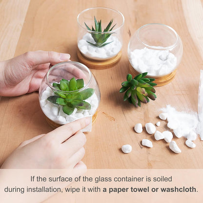 Artificial Succulent in Clear Glass Pot, 3 Mini Potted Fake Plants for Women Office Decor Small Faux Green Plant with BambooTray for Bookshelf Bathroom Kitchen Tabletop Centerpiece