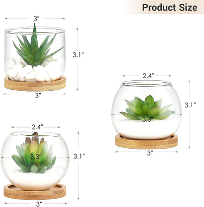 Artificial Succulent in Clear Glass Pot, 3 Mini Potted Fake Plants for Women Office Decor Small Faux Green Plant with BambooTray for Bookshelf Bathroom Kitchen Tabletop Centerpiece