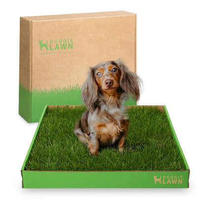 Real Grass Dog Pee Pads - Standard Dog Potty Pad 24x16