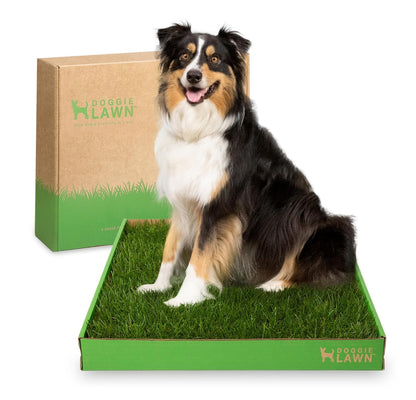 Real Grass Dog Pee Pads - Standard Dog Potty Pad 24x16