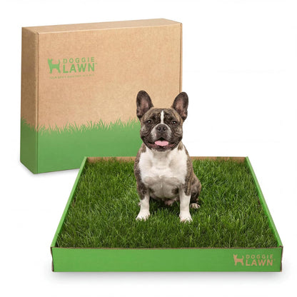 Real Grass Dog Pee Pads - Standard Dog Potty Pad 24x16