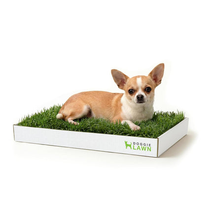 Real Grass Dog Pee Pads - Standard Dog Potty Pad 24x16