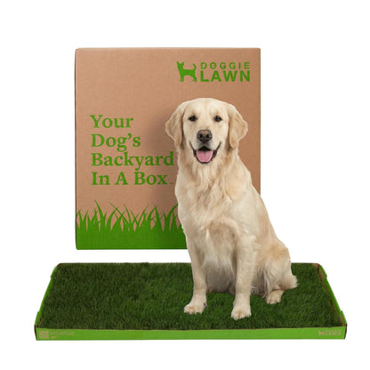 Real Grass Dog Pee Pads - Standard Dog Potty Pad 24x16