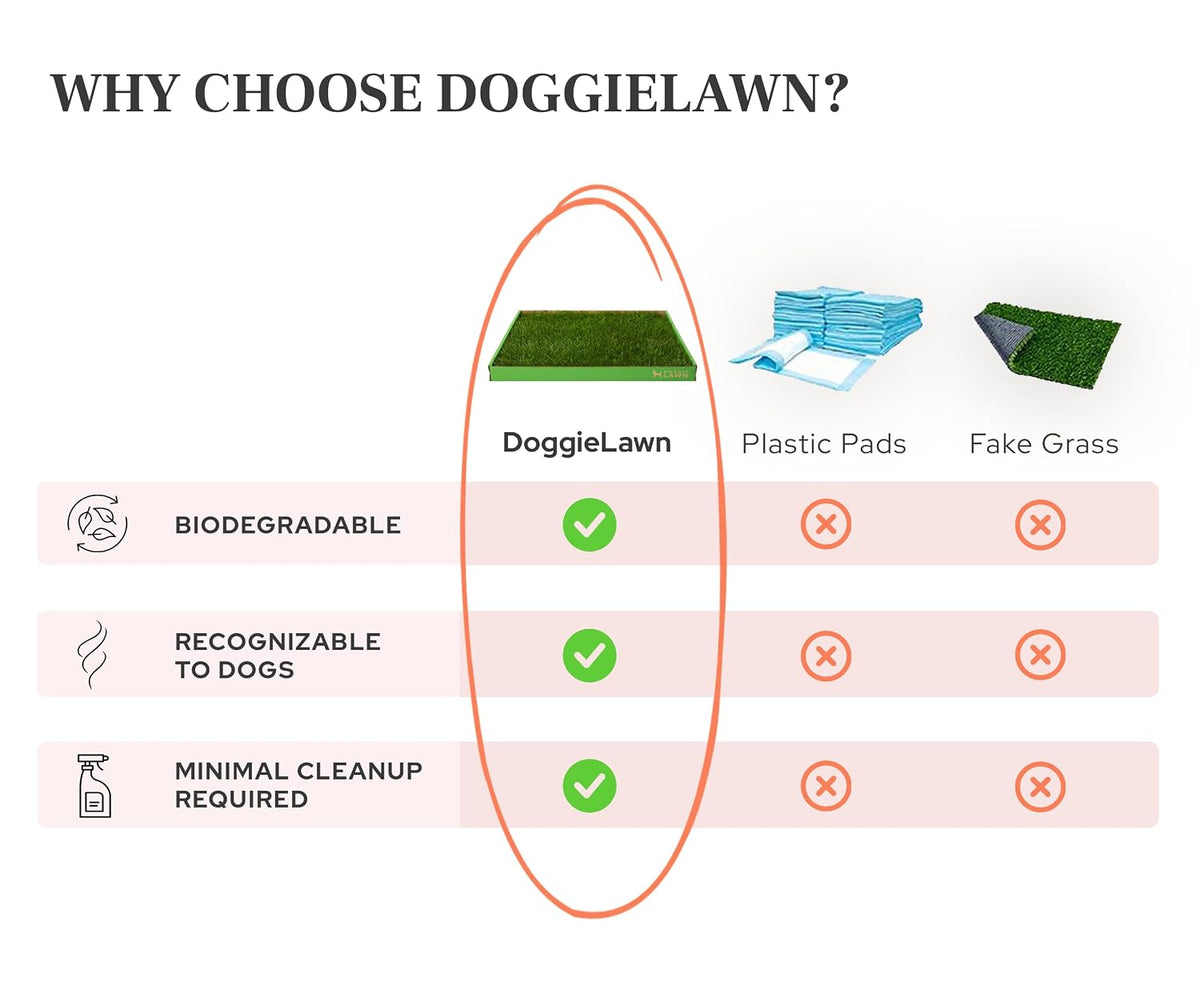 Real Grass Dog Pee Pads - Standard Dog Potty Pad 24x16