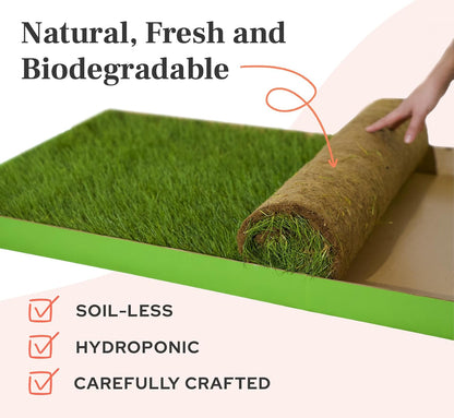 Real Grass Dog Pee Pads - Standard Dog Potty Pad 24x16