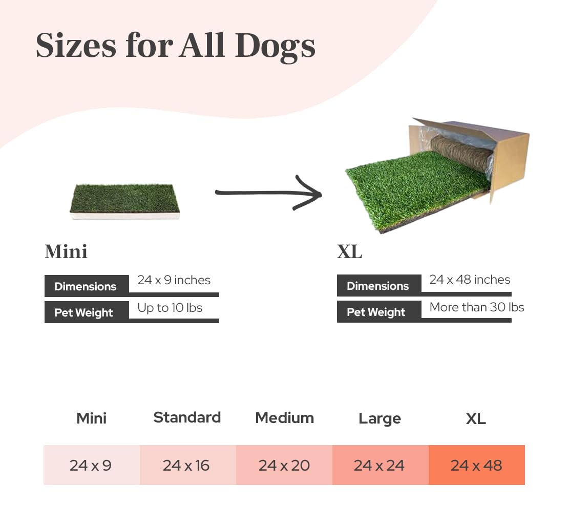 Real Grass Dog Pee Pads - Standard Dog Potty Pad 24x16