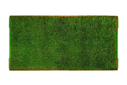 Real Grass Dog Pee Pads - Standard Dog Potty Pad 24x16