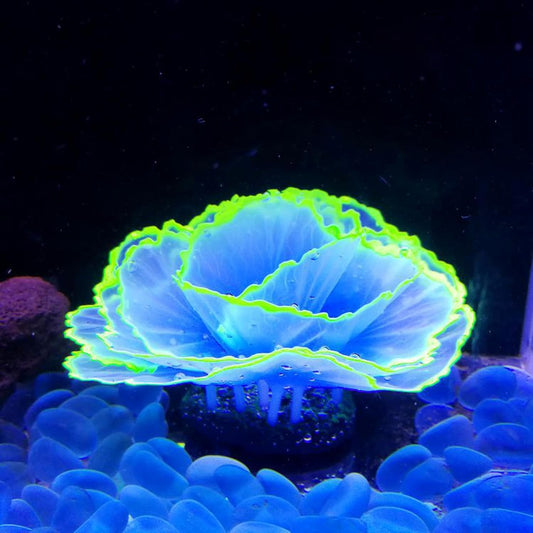 Artificial Coral Ornament Glowing Effect Resin Aquarium Plants Coral Aquarium Fish Tank Decorations(Blue)