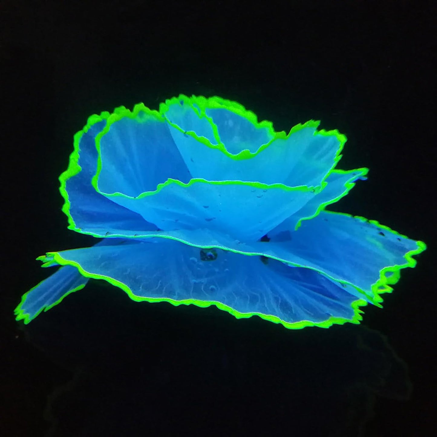 Artificial Coral Ornament Glowing Effect Resin Aquarium Plants Coral Aquarium Fish Tank Decorations(Blue)