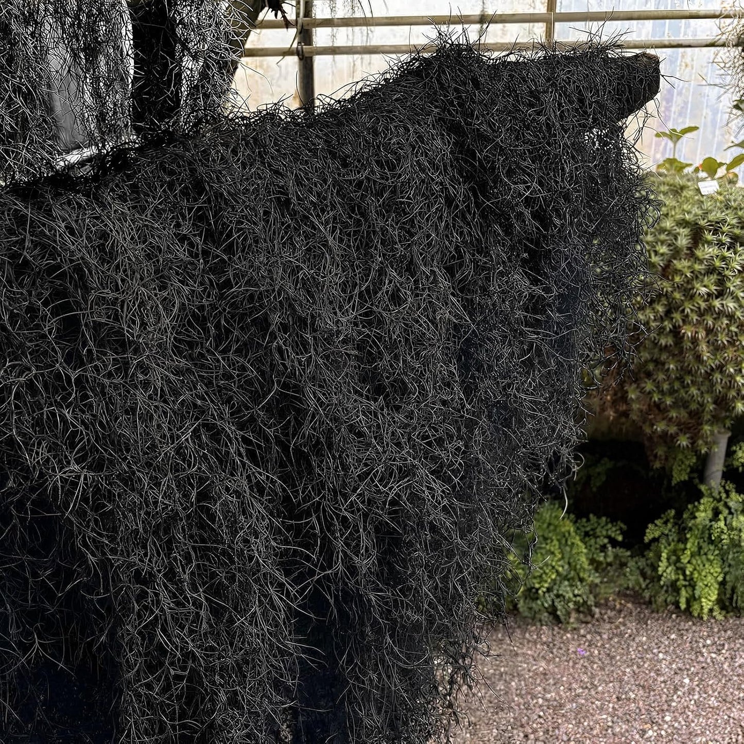 Spanish Moss 41'' Fake Hanging Succulents Faux Moss Artificial Succulent Plants Vines Hanging Plants Swamp Decoration Potted Artificial Garland(Dark Brown,6 Pack)