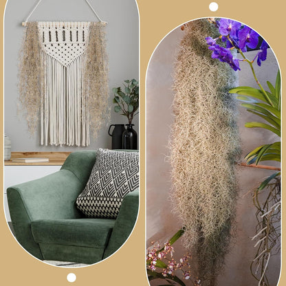 Spanish Moss 41'' Fake Hanging Succulents Faux Moss Artificial Succulent Plants Vines Hanging Plants Swamp Decoration Potted Artificial Garland(Dark Brown,6 Pack)
