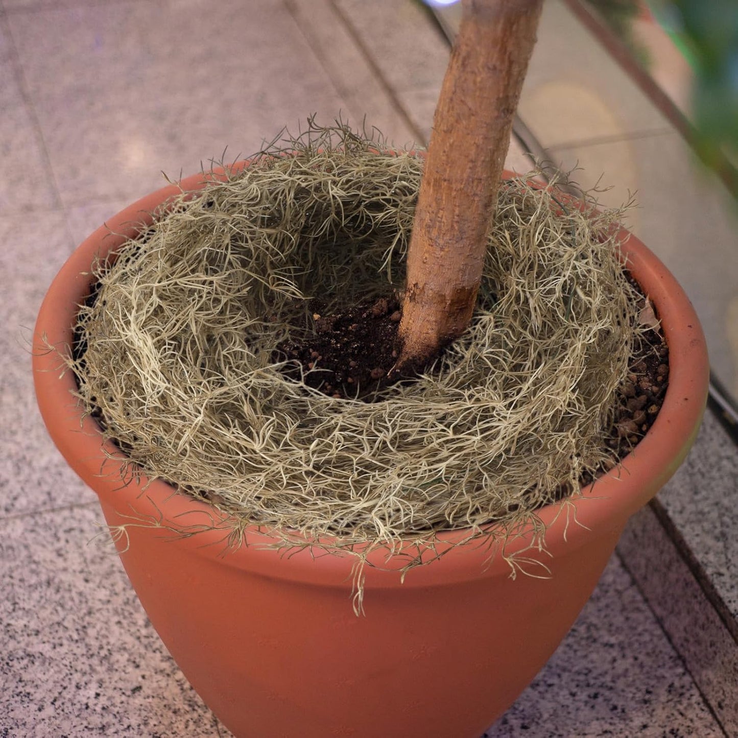 Spanish Moss 41'' Fake Hanging Succulents Faux Moss Artificial Succulent Plants Vines Hanging Plants Swamp Decoration Potted Artificial Garland(Dark Brown,6 Pack)