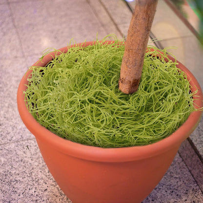 Spanish Moss 41'' Fake Hanging Succulents Faux Moss Artificial Succulent Plants Vines Hanging Plants Swamp Decoration Potted Artificial Garland(Dark Brown,6 Pack)