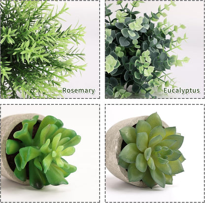 4 Pack Small Fake Plants Eucalyptus Rosemary Succulents Plants Artificial in Pots for Shelf Artificial Greenery Eucalyptus Plant Indoor for Home Bedroom Living Room Decoration